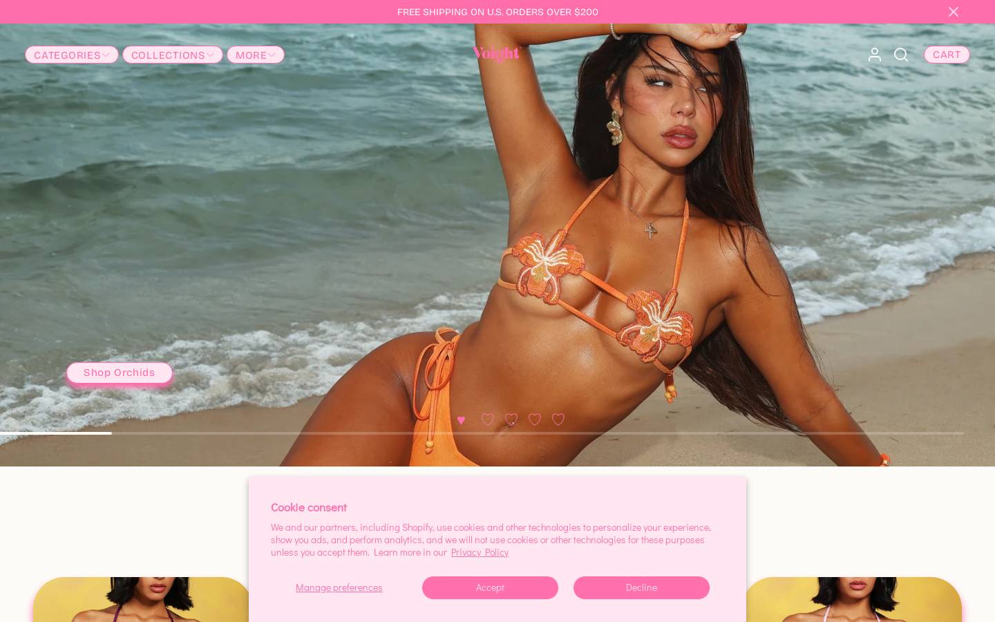 voight.com homepage screenshot