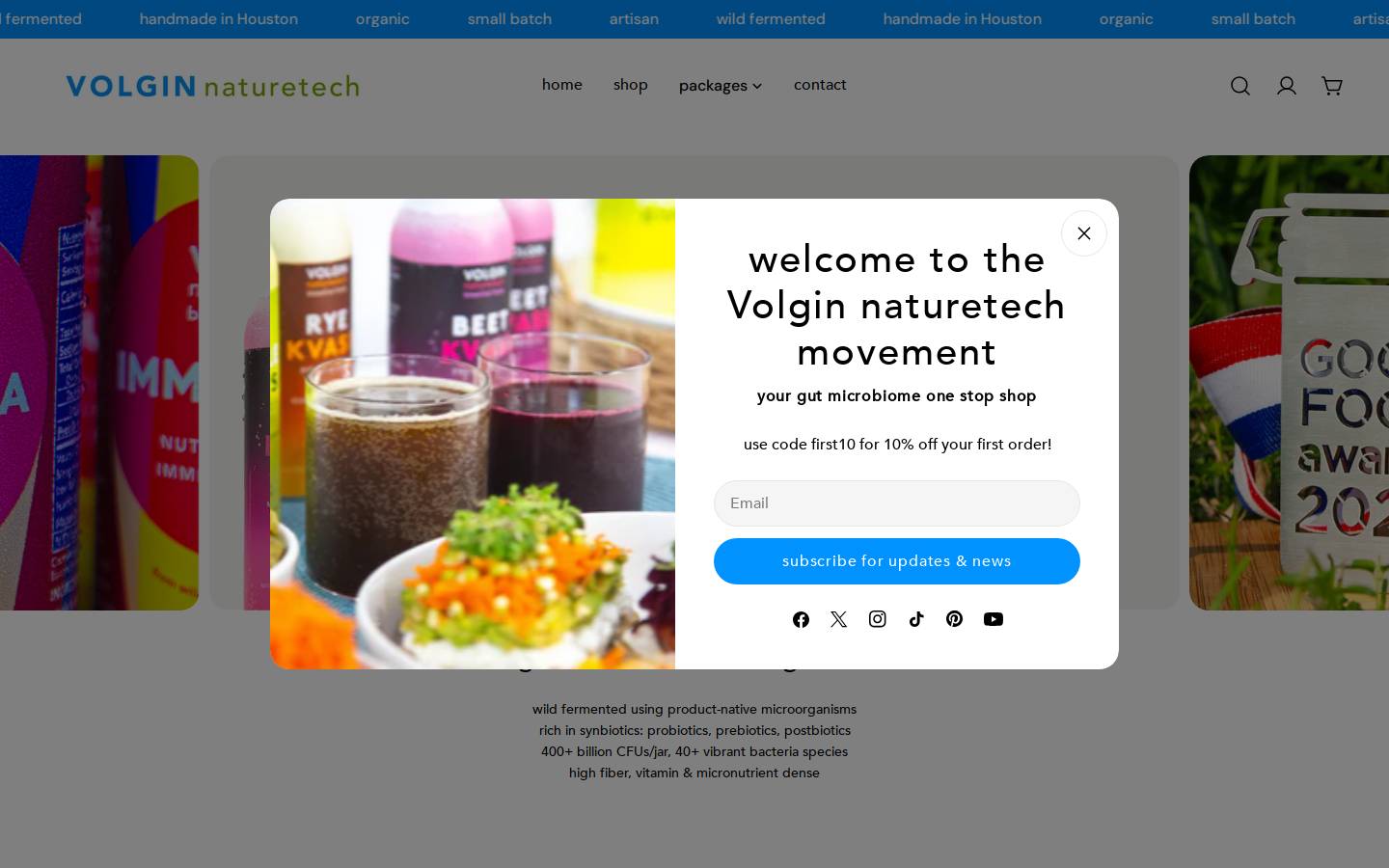 volgin.com homepage screenshot