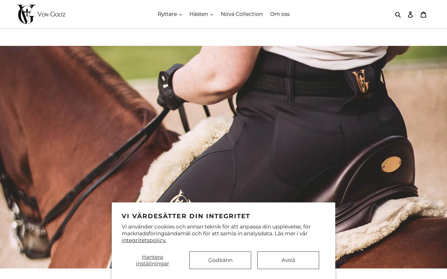 Von Goltz homepage screenshot