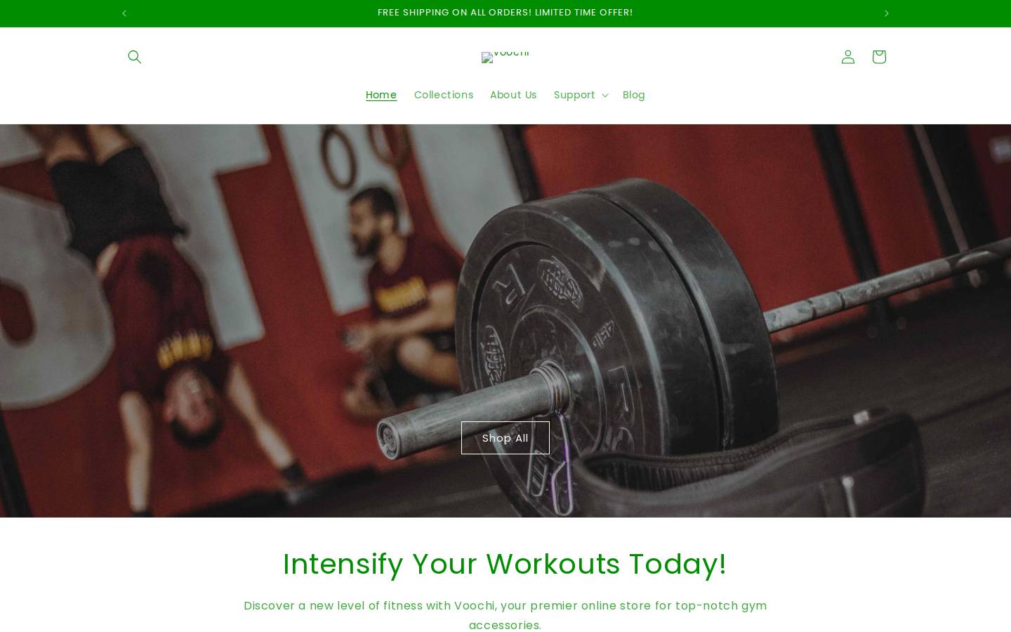 voochi.com homepage screenshot