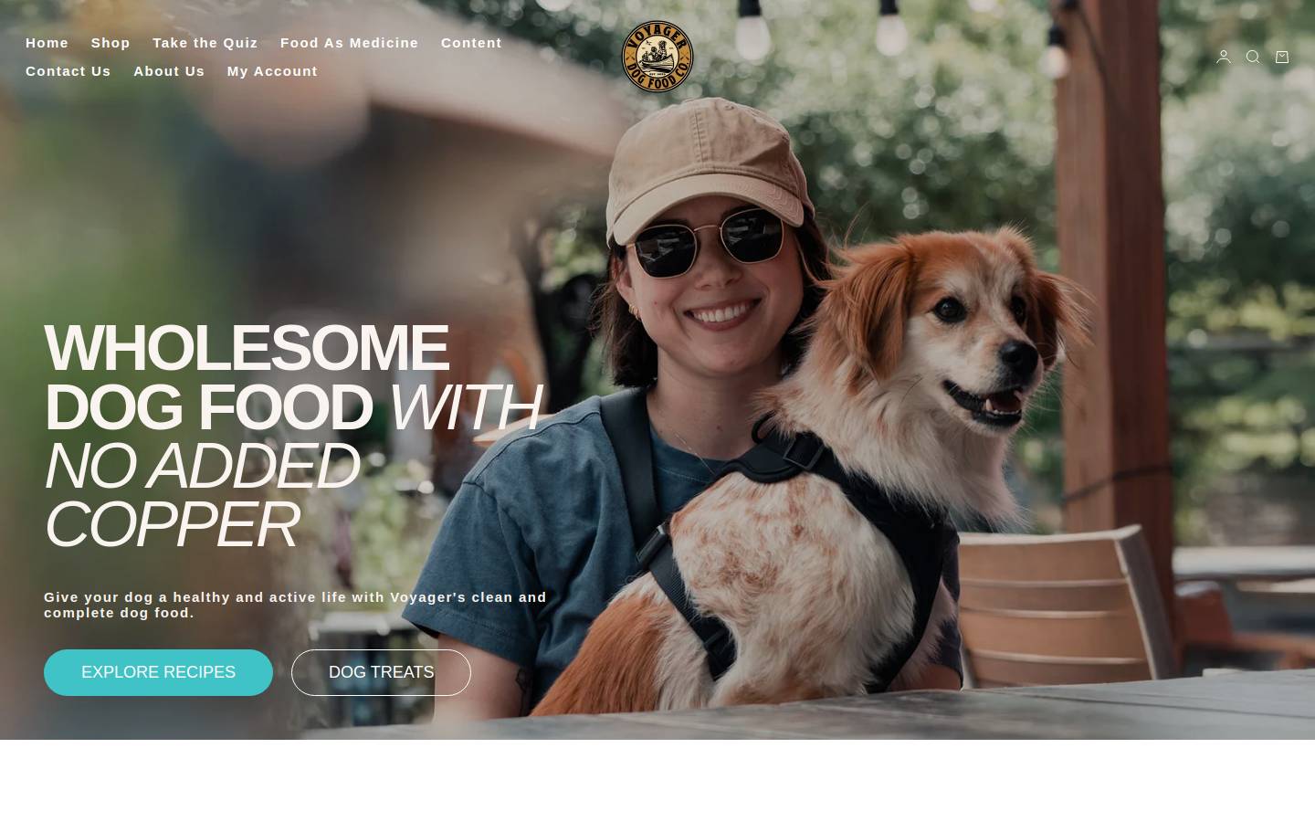 Voyagerdogfoodco homepage screenshot