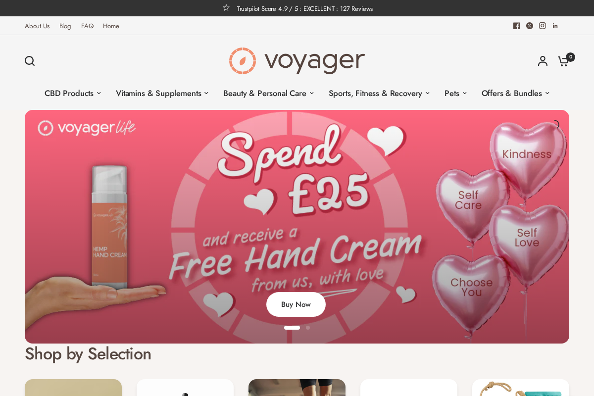 Voyager Life Limited homepage screenshot