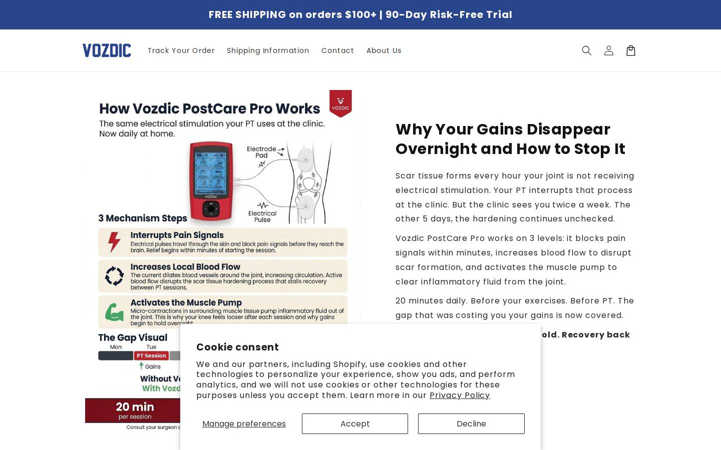 vozdic.com homepage screenshot