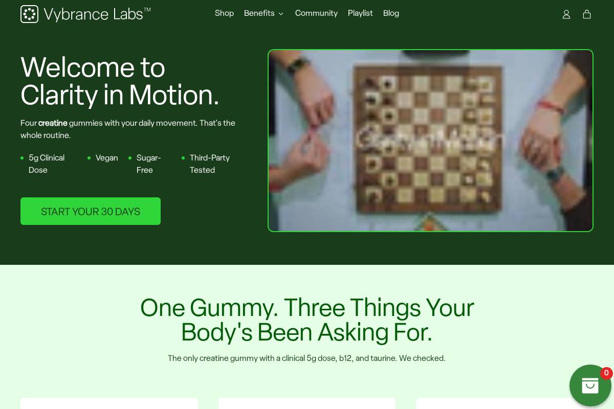 vybrancelabs.co homepage screenshot