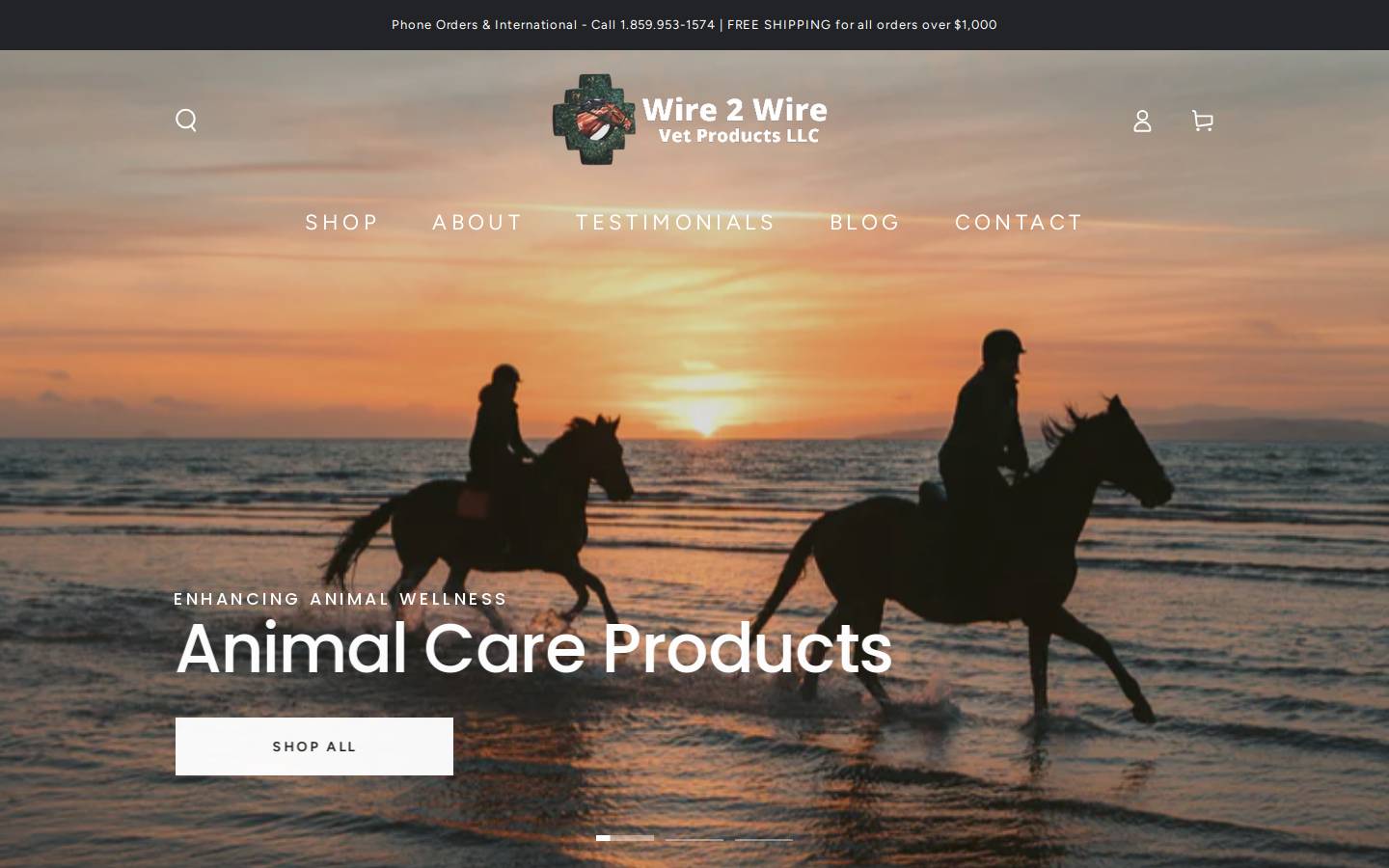 w2wvp.com homepage screenshot