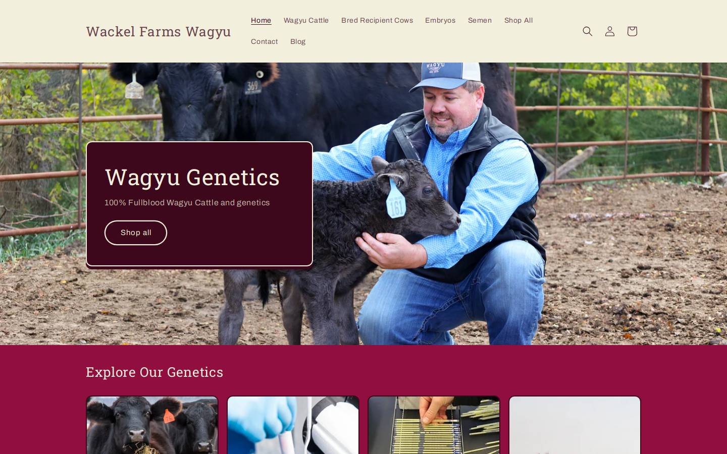 wackelfarmswagyu.com homepage screenshot