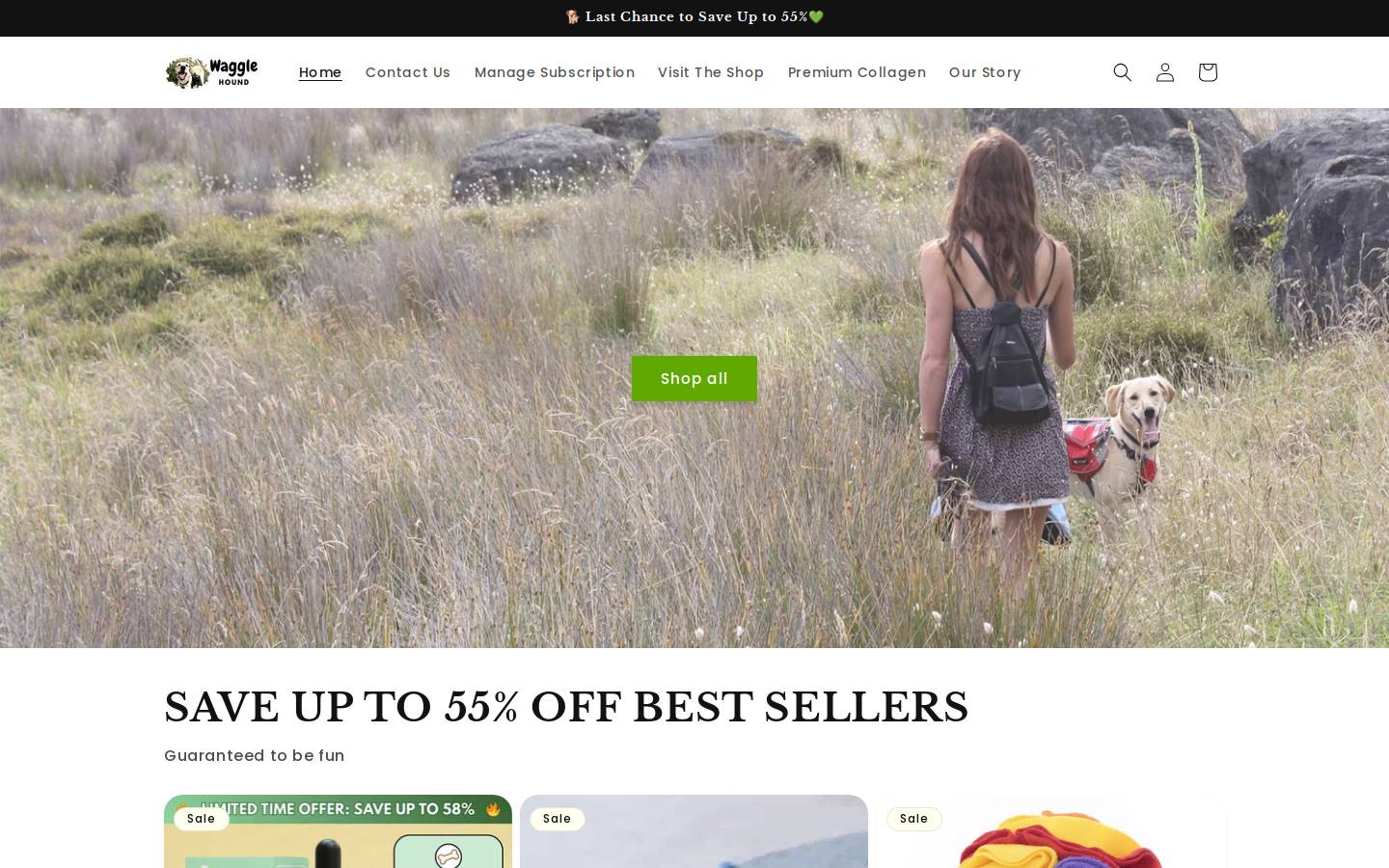 Waggle Hound homepage screenshot