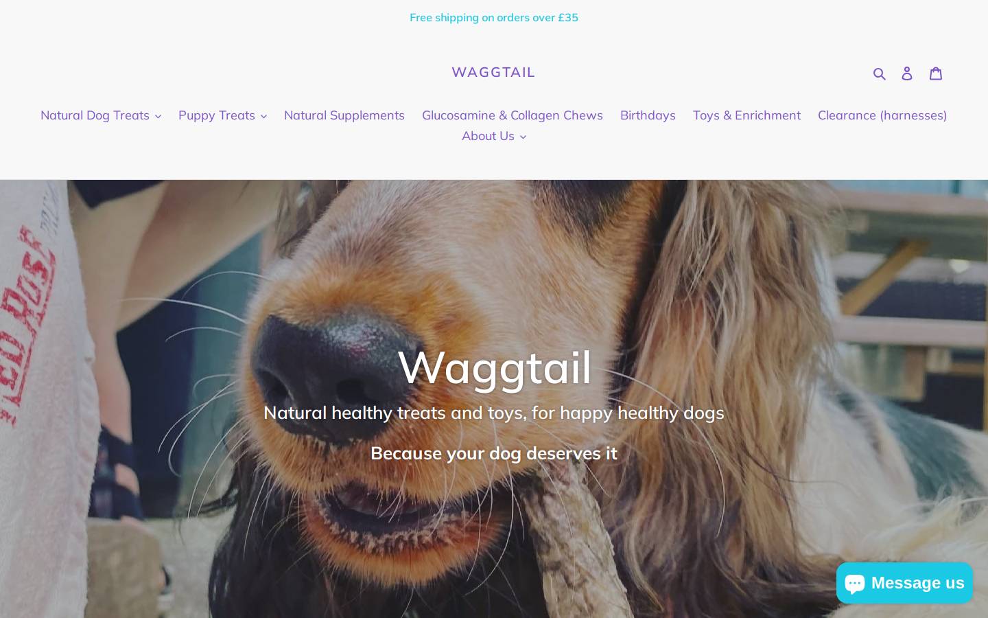 waggtail.com homepage screenshot