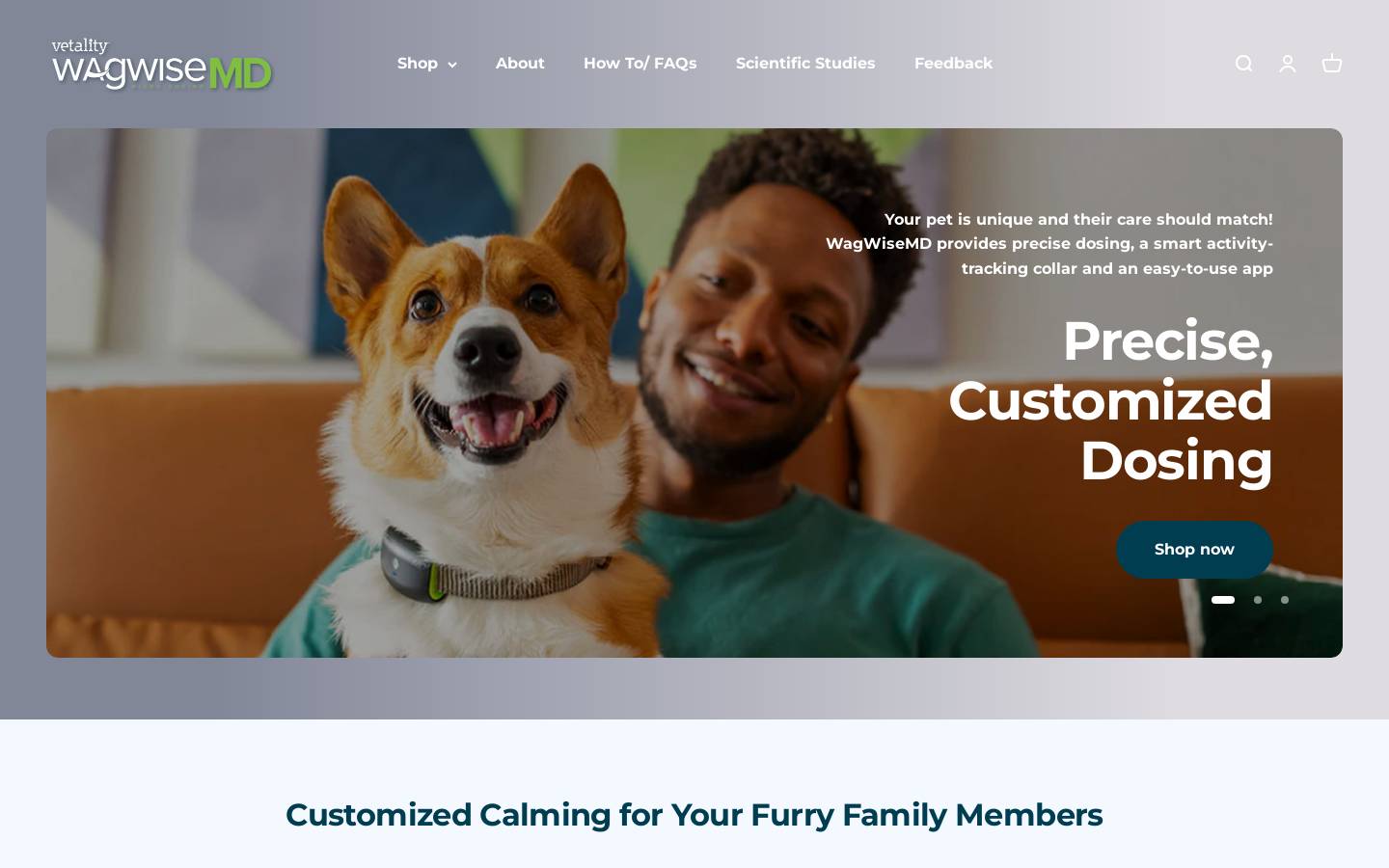 wagwise.com homepage screenshot