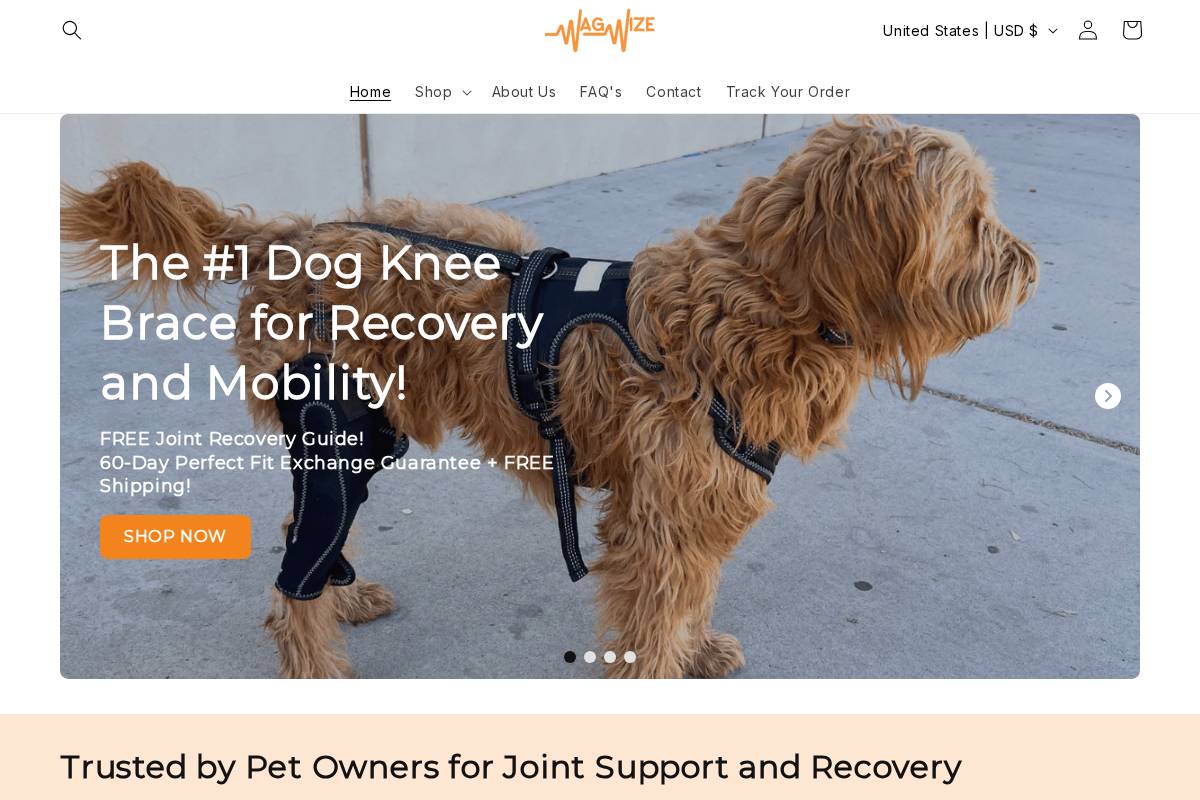 wagwize.com homepage screenshot