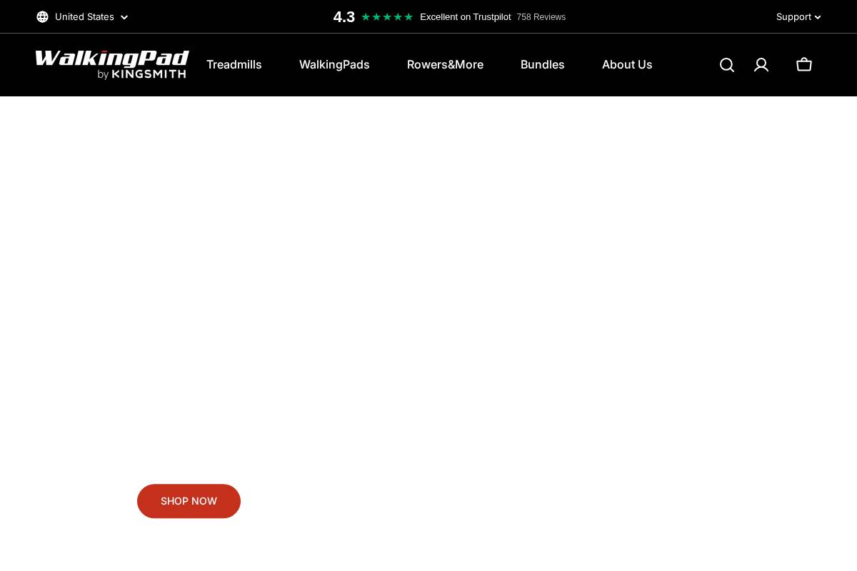 WalkingPad homepage screenshot