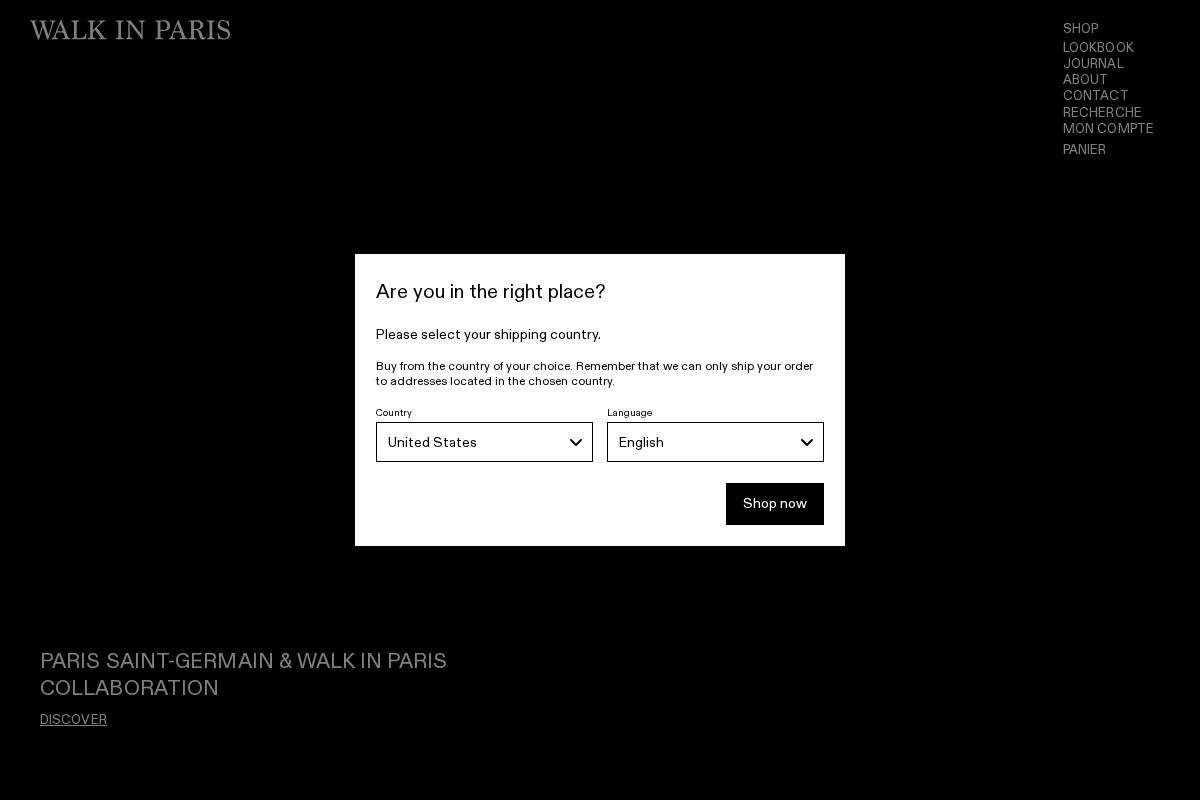walkinparis.com homepage screenshot