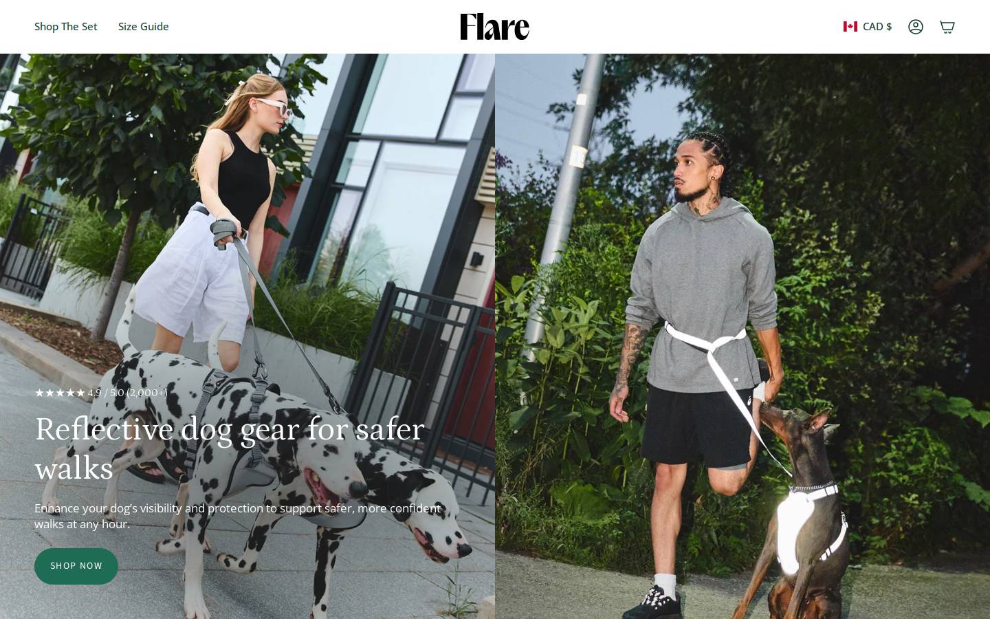 walkwithflare.com homepage screenshot