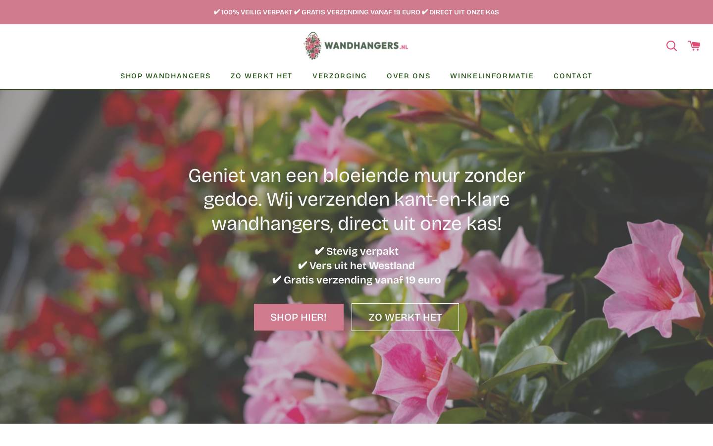 wandhangers.nl homepage screenshot