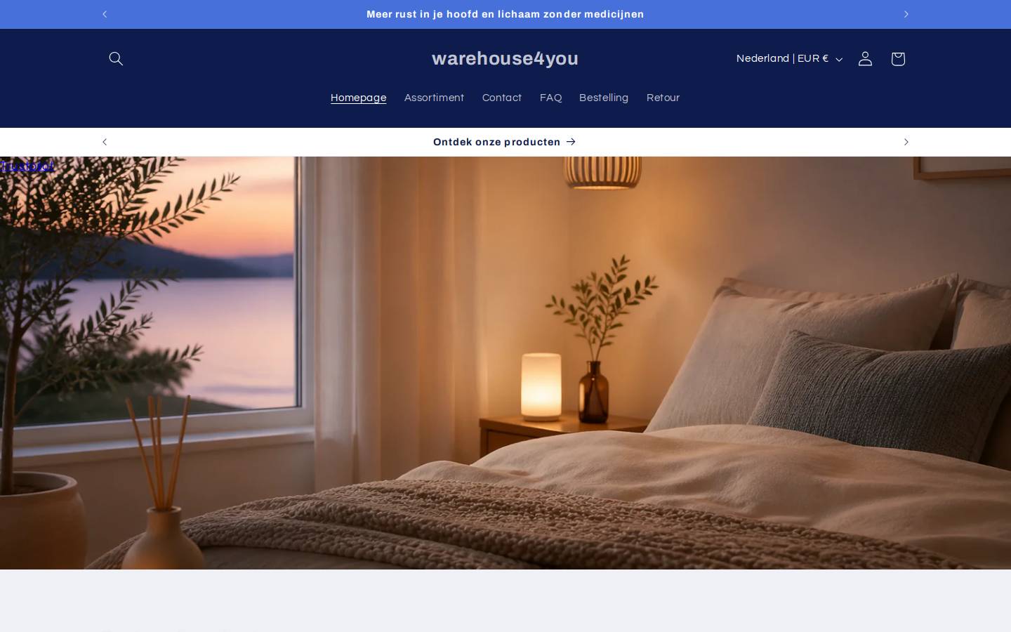 Warehouse4you homepage screenshot