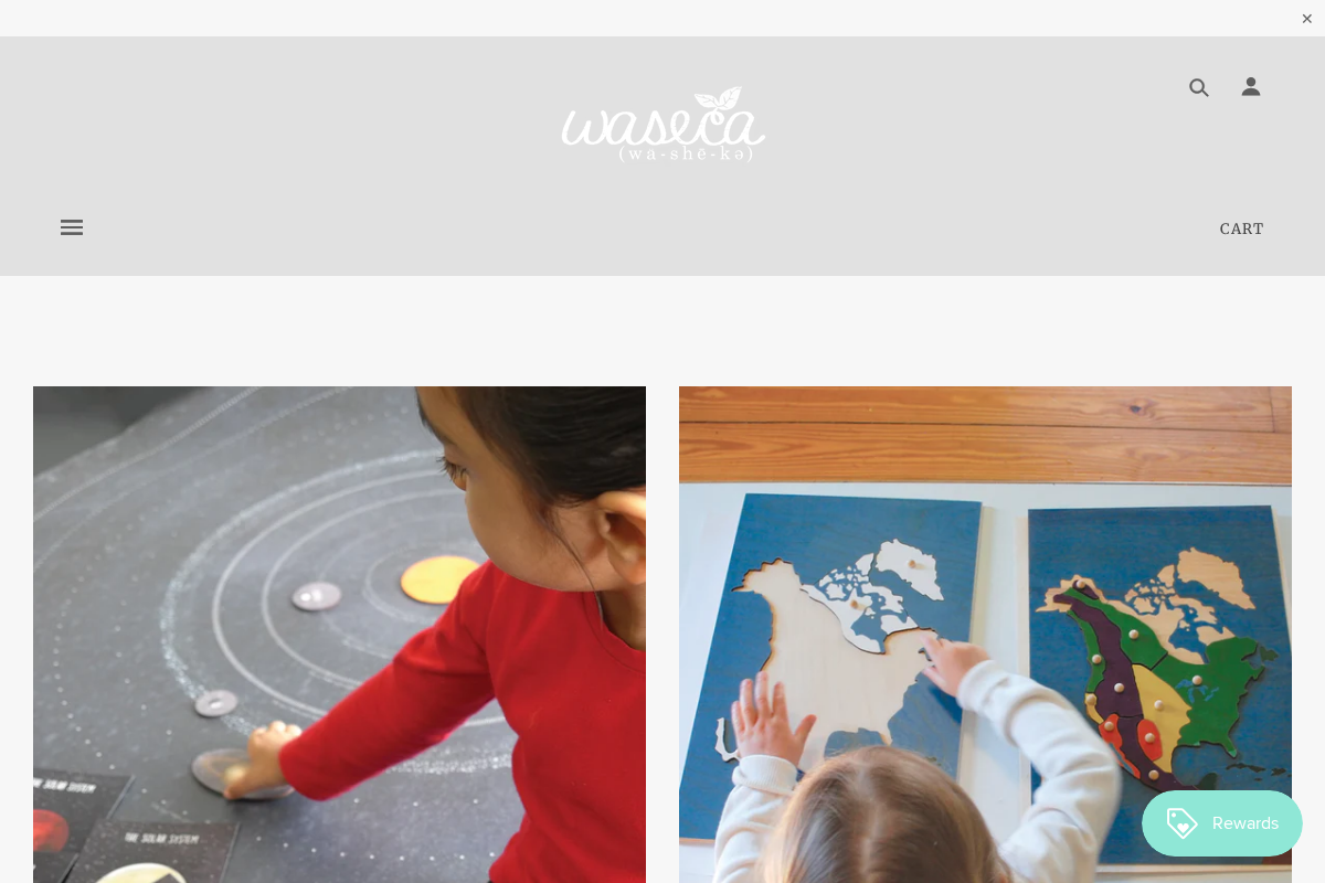 wasecabiomes homepage screenshot