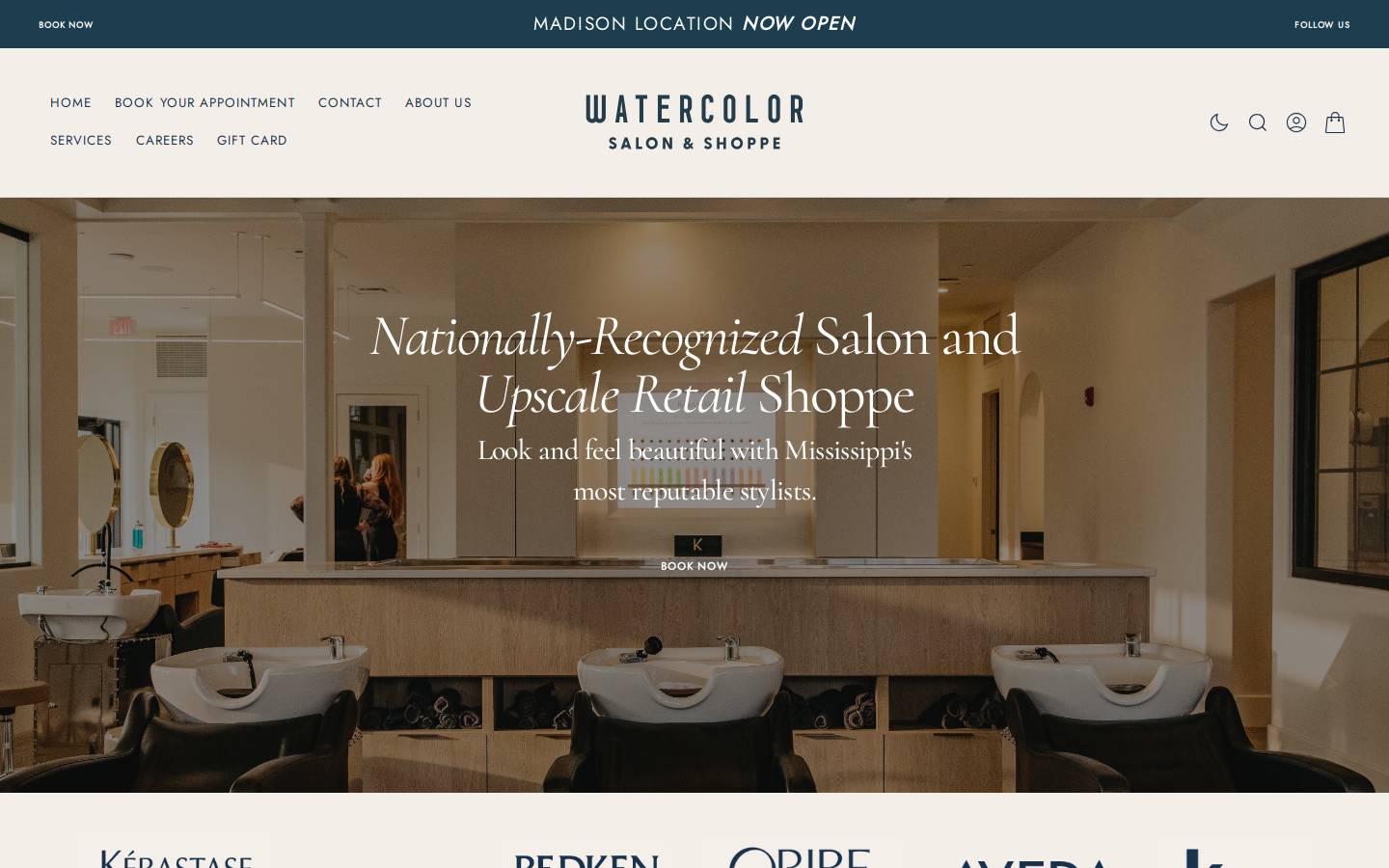 watercolorsalon.com homepage screenshot