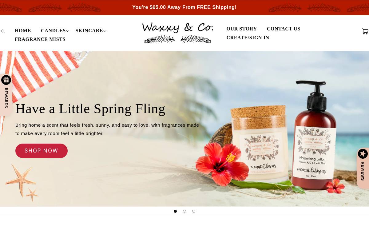 waxxyandco.com homepage screenshot