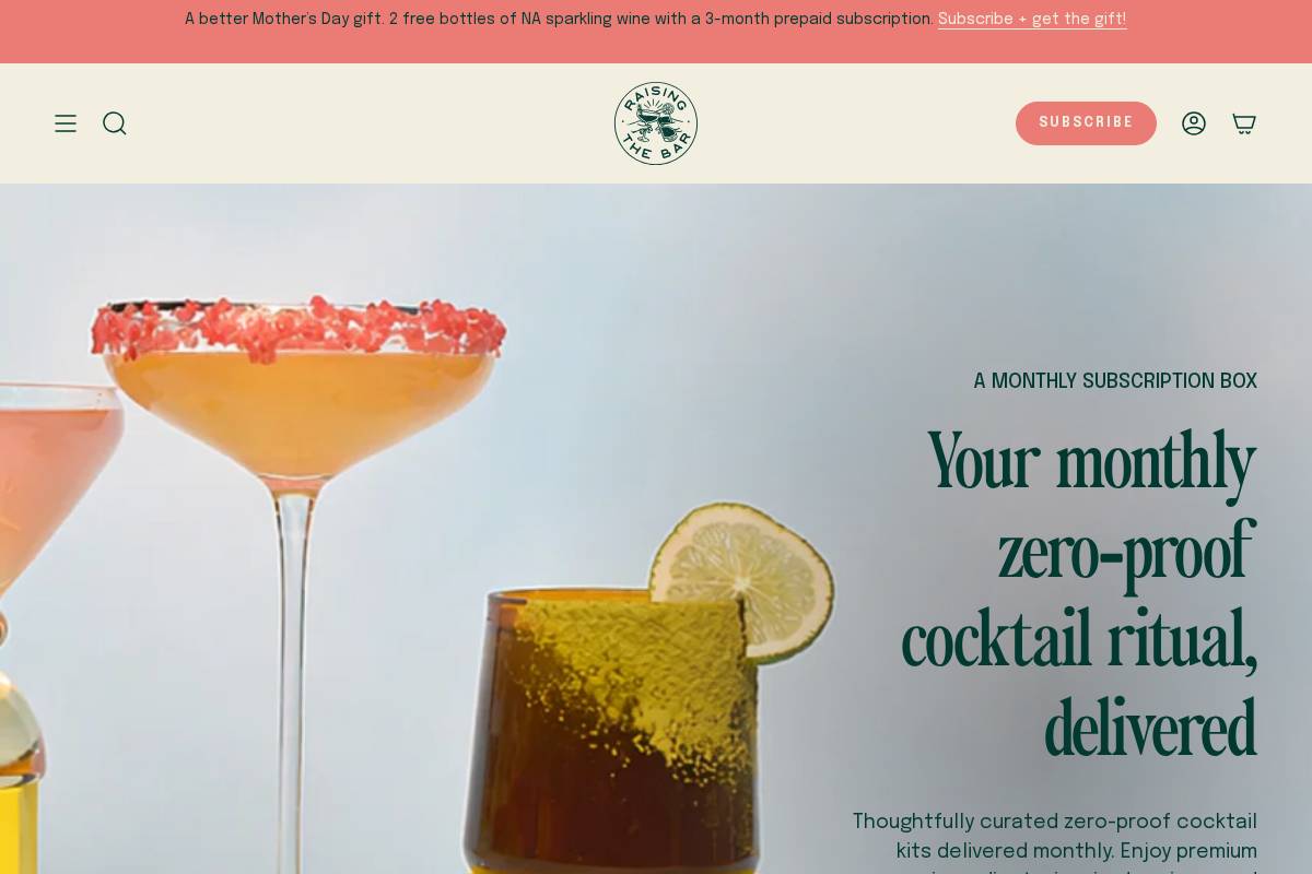 weareraisingthebar.com homepage screenshot