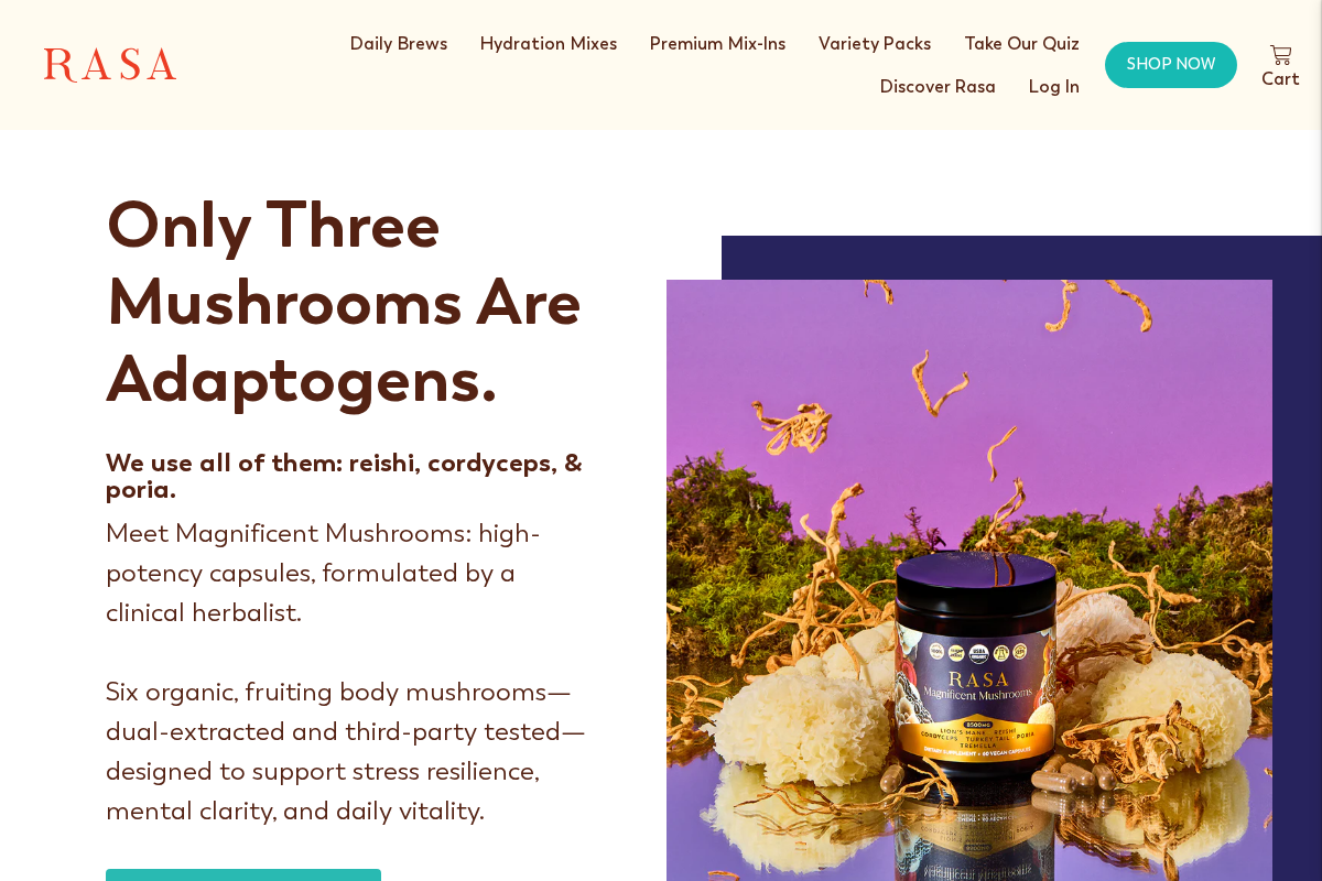 wearerasa.com homepage screenshot