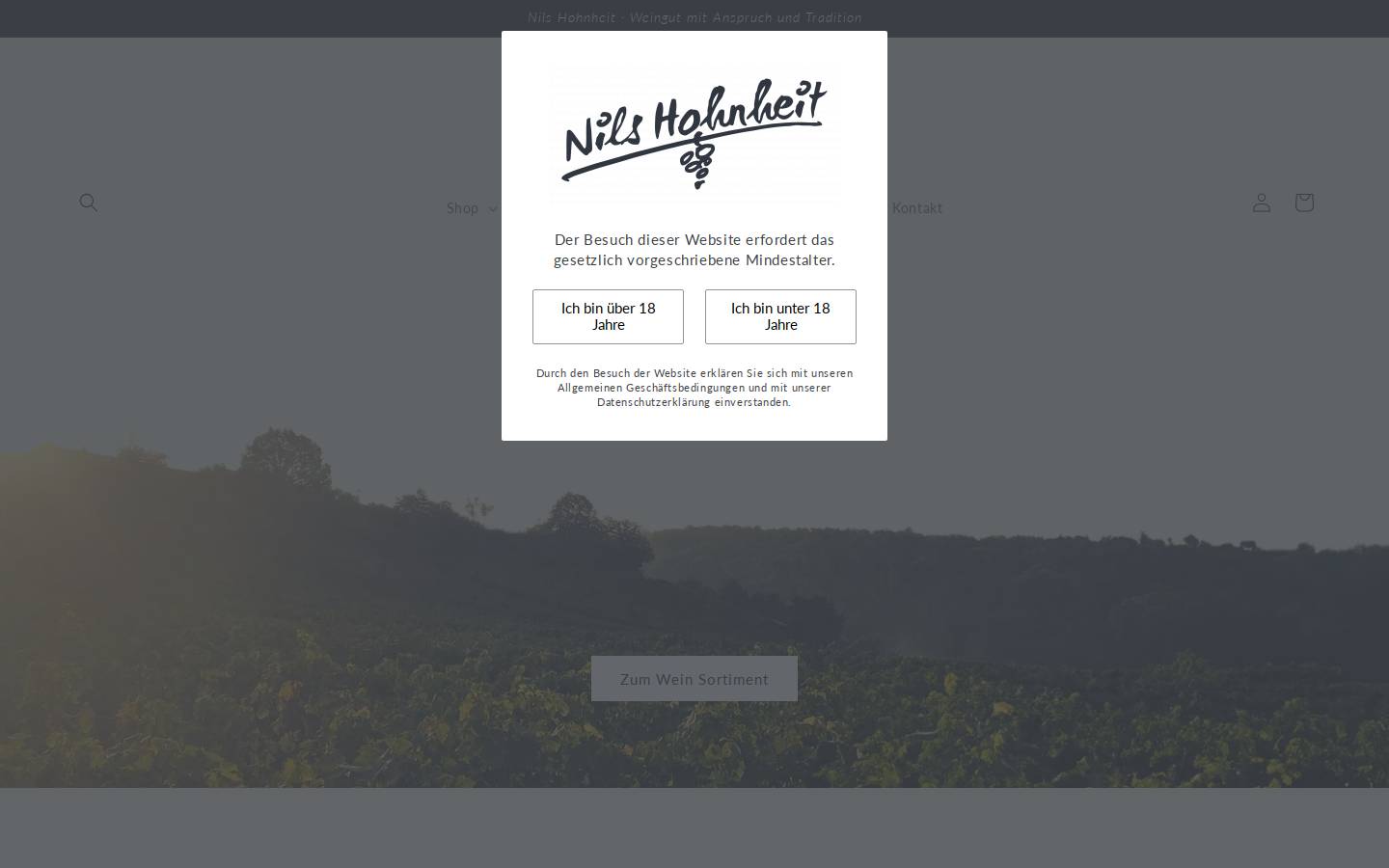 weinbau-nils-hohnheit.de homepage screenshot
