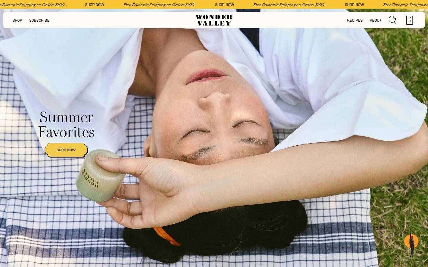 welcometowondervalley.com homepage screenshot