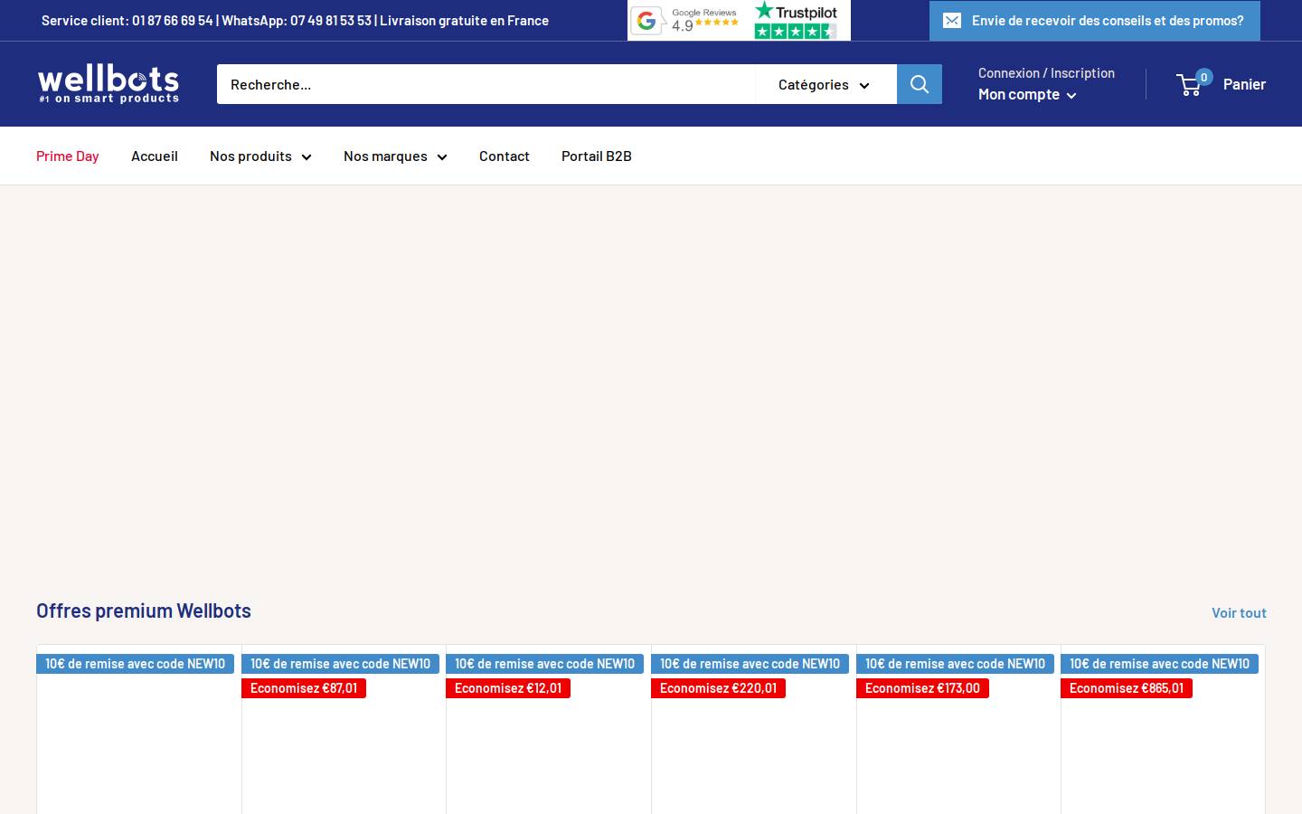 Wellbots homepage screenshot
