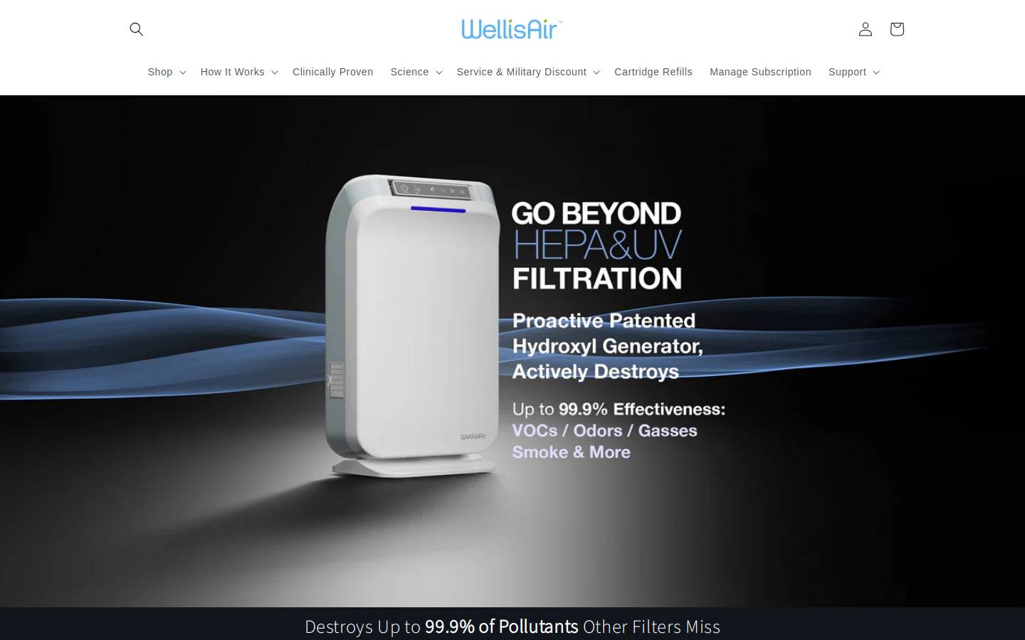 Wellisairpure homepage screenshot