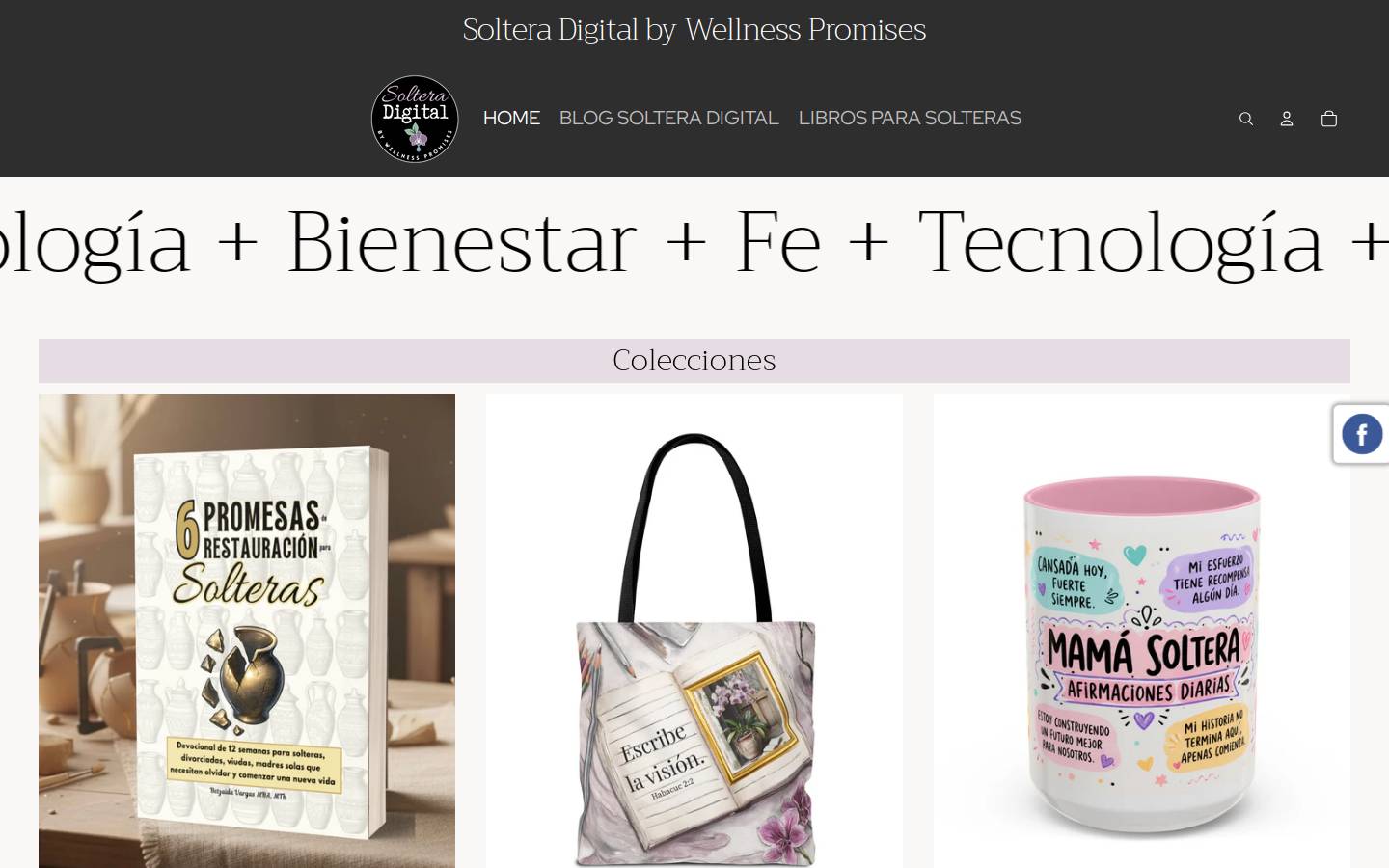 wellnesspromises.com homepage screenshot
