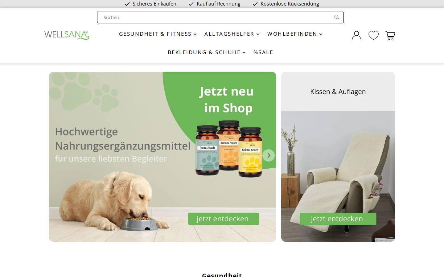 Wellsana homepage screenshot