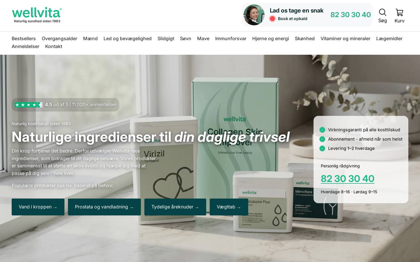Wellvita homepage screenshot