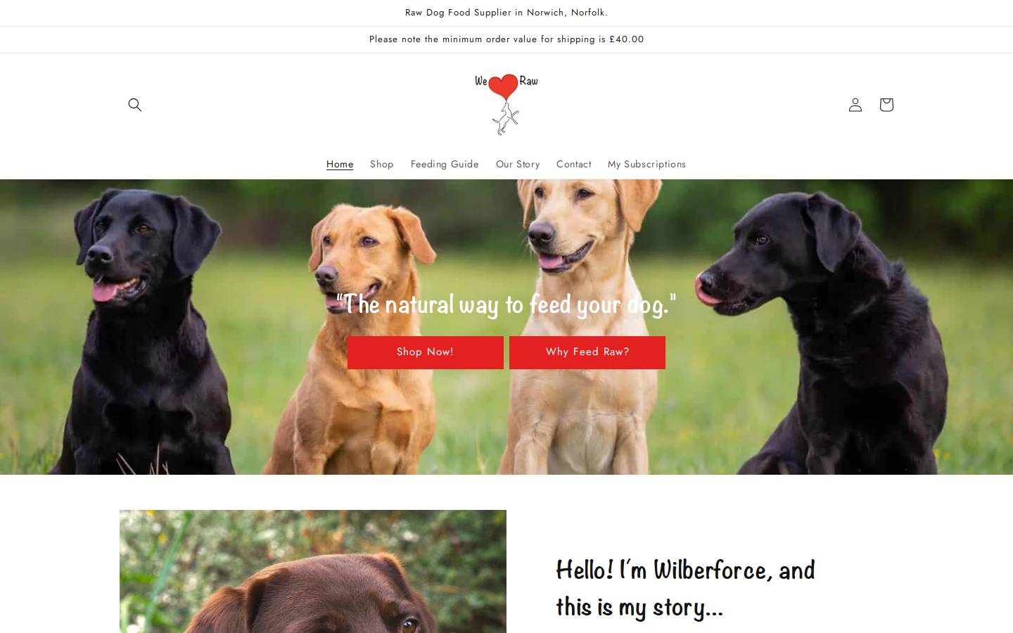 weloveraw.net homepage screenshot