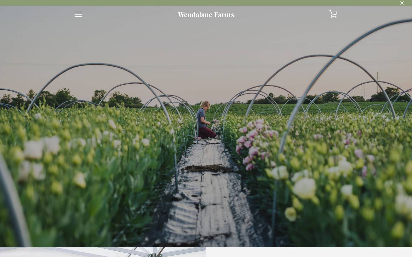 wendalane.com homepage screenshot
