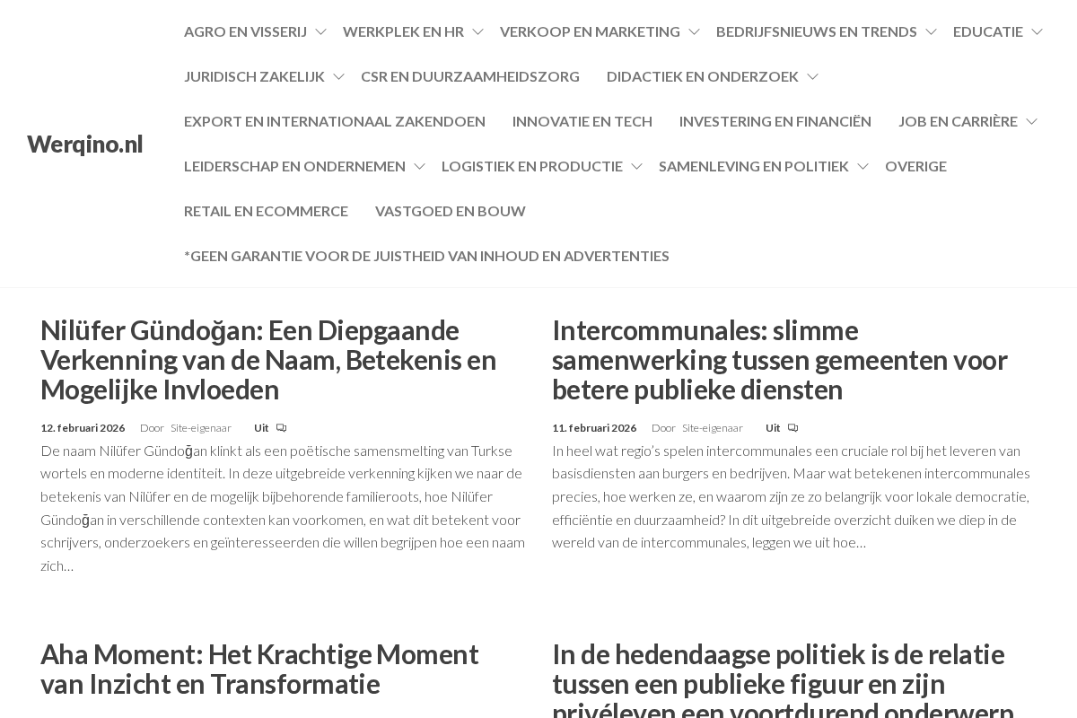 Werqino.nl homepage screenshot