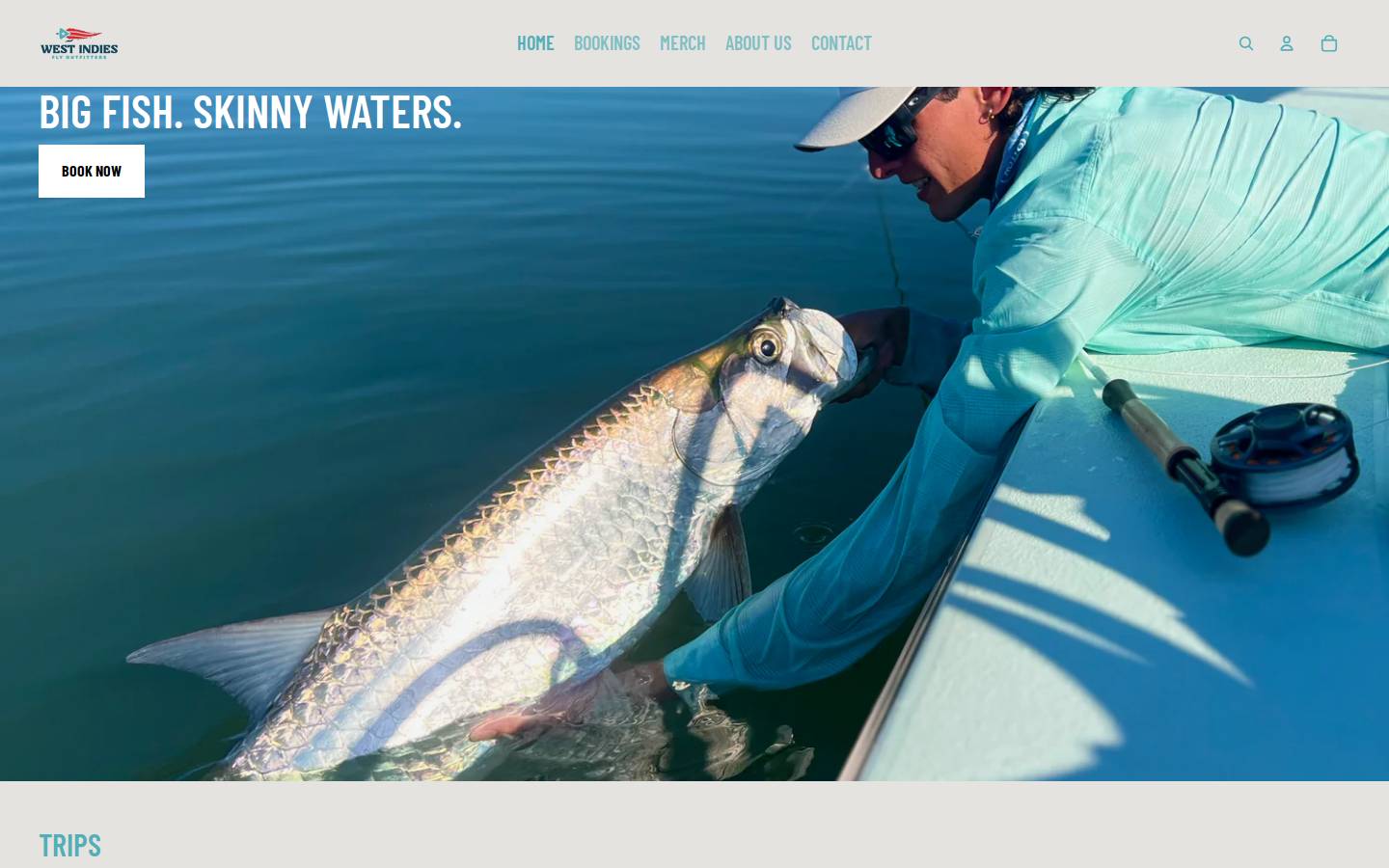 westindiesfly.com homepage screenshot