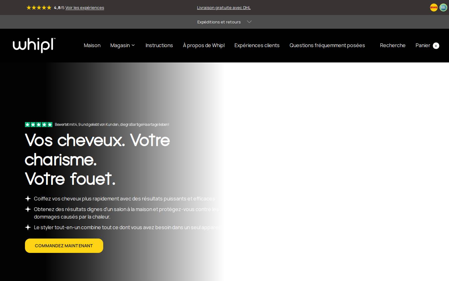 whipl.fr homepage screenshot