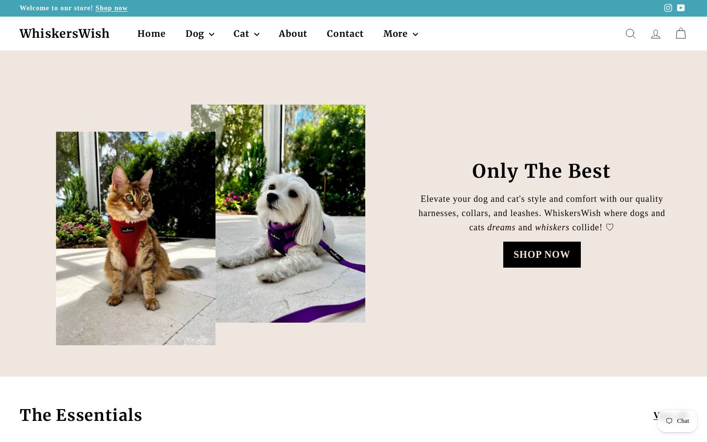 whiskerswish.com homepage screenshot
