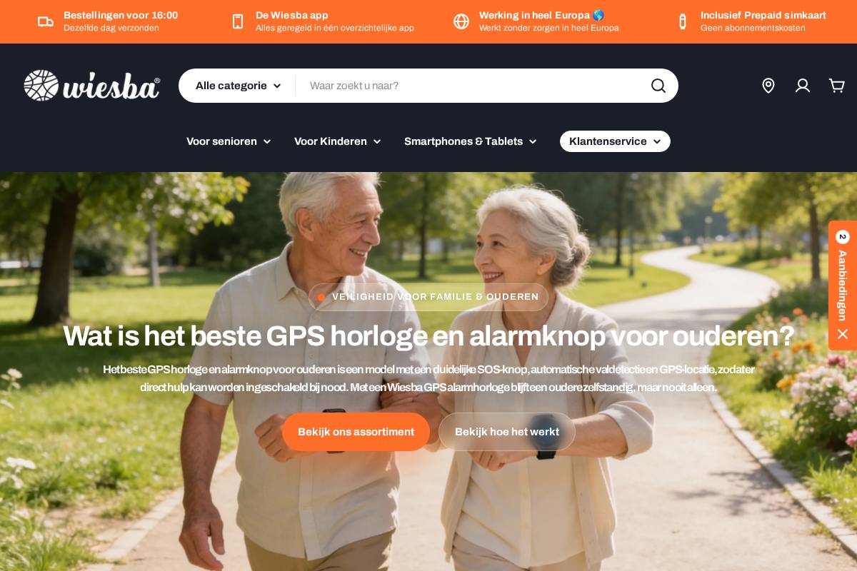 Wiesba homepage screenshot