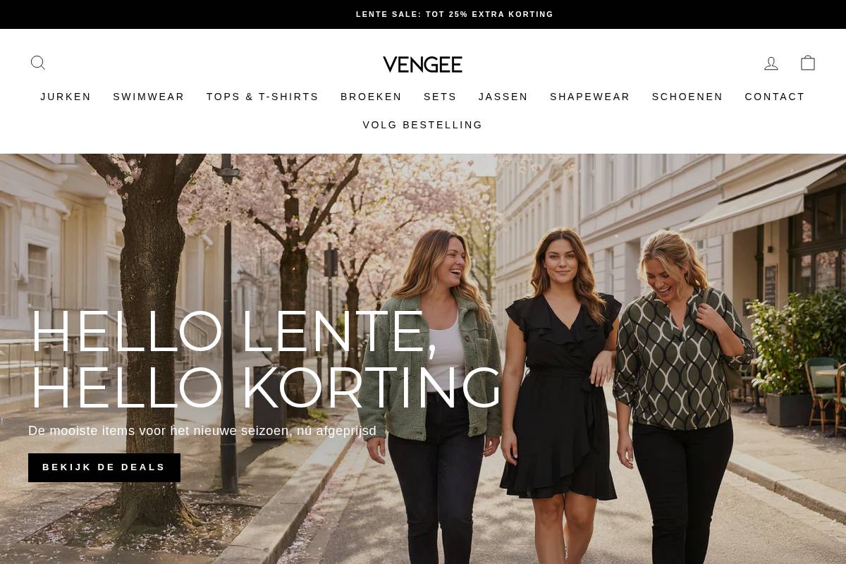 Vengee homepage screenshot
