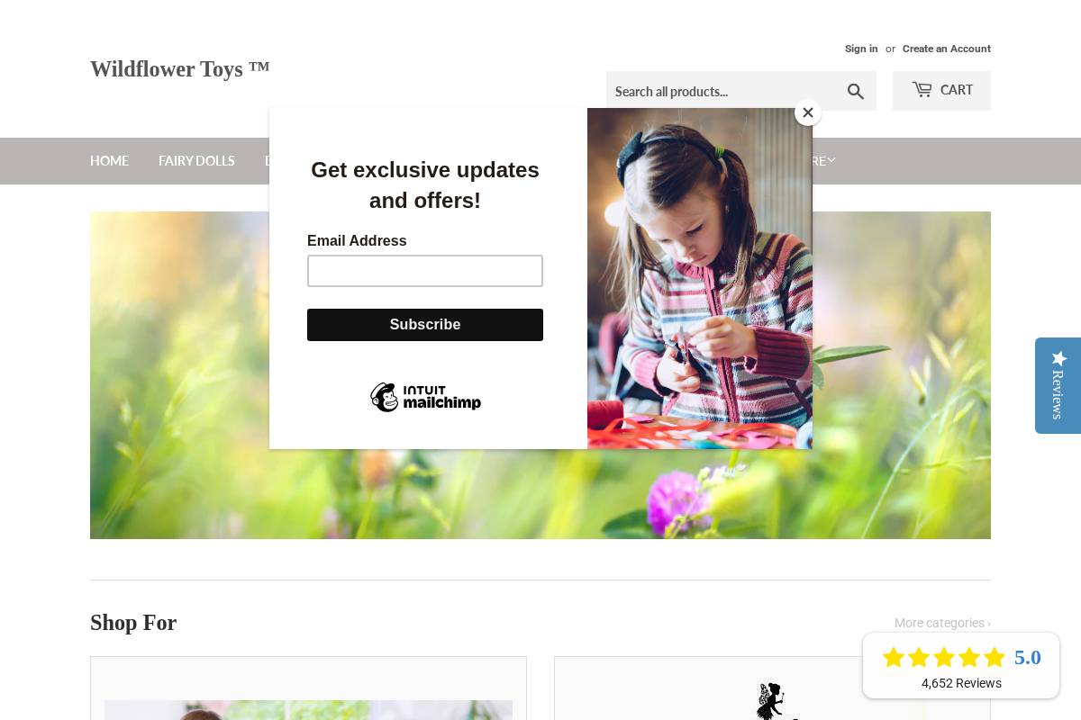 wildflowertoys.com homepage screenshot