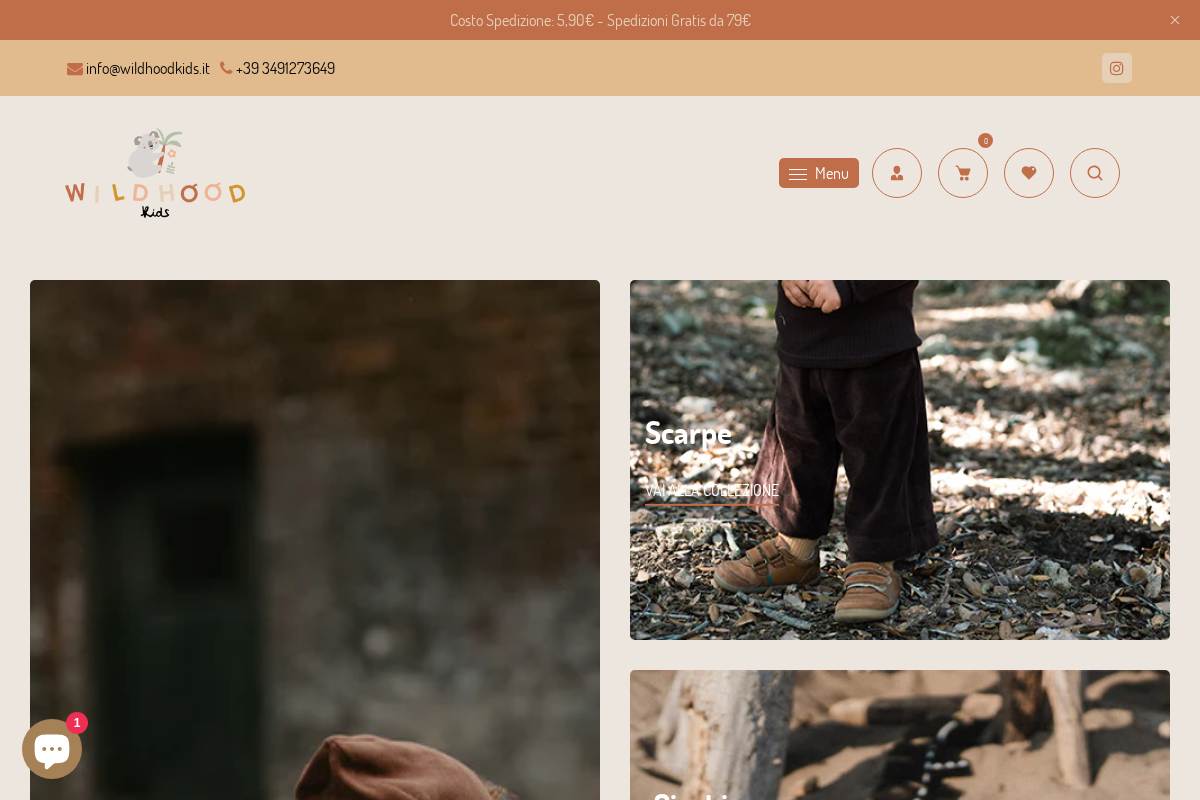 WildHoodKids homepage screenshot