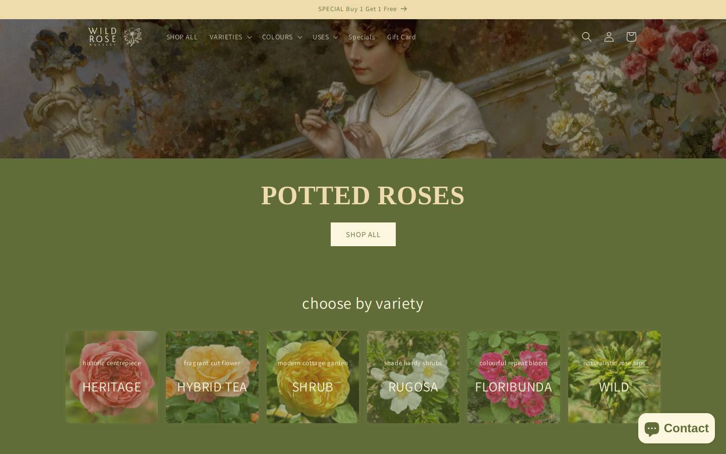 wildrosenursery.com.au homepage screenshot