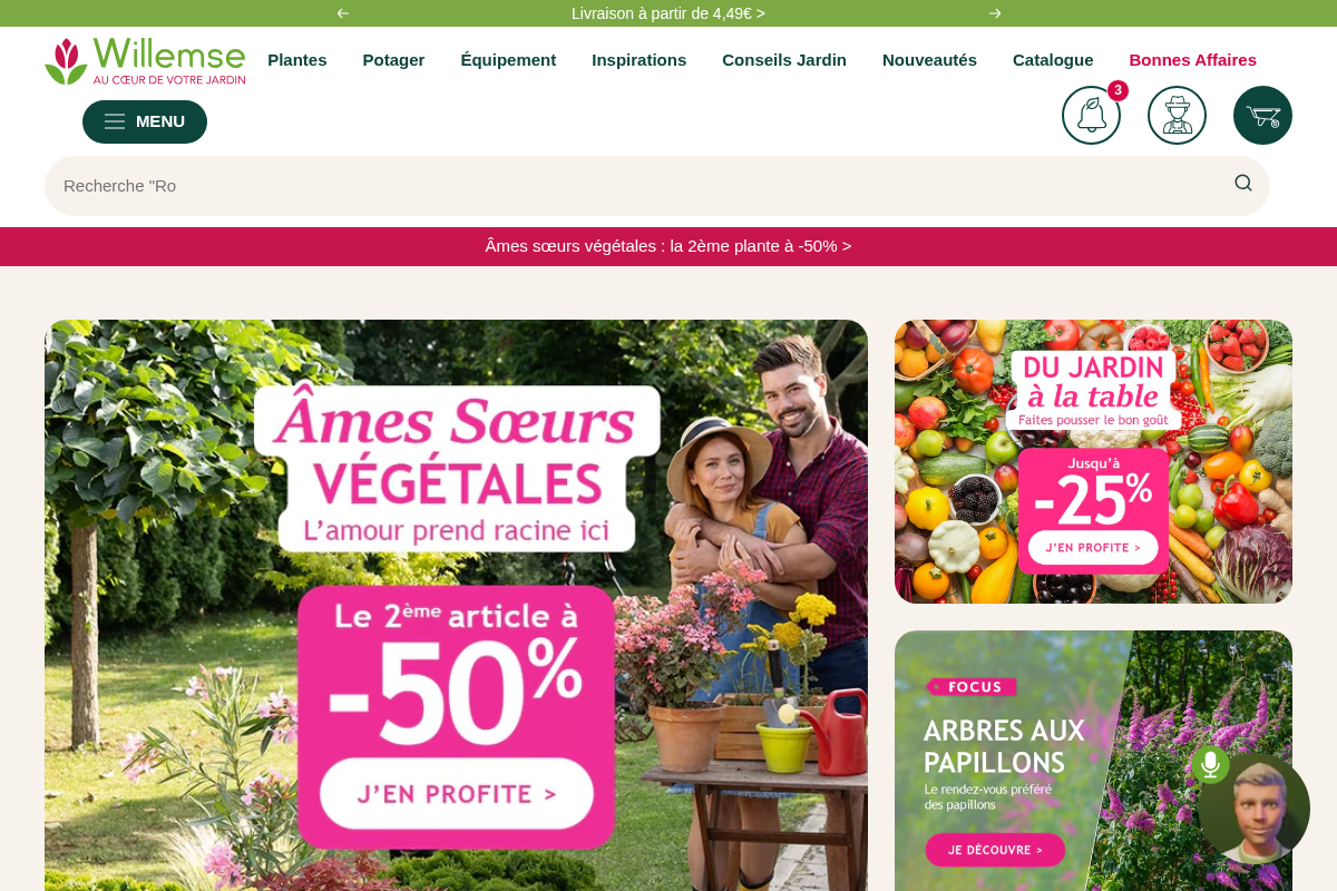 Willemse homepage screenshot