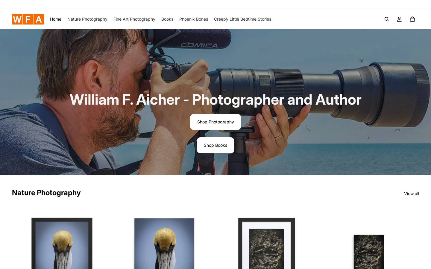williamfaicher.com homepage screenshot