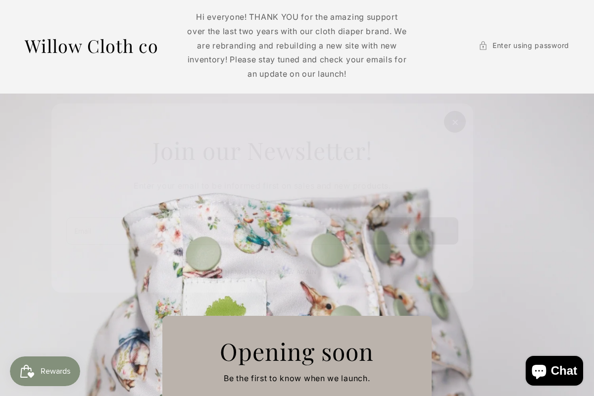 willowclothco.com homepage screenshot