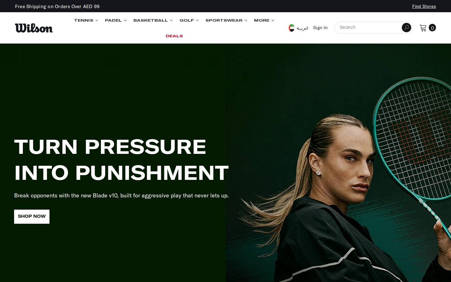 Wilsonme homepage screenshot