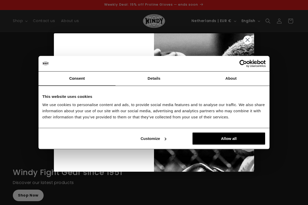 Windyfightgear homepage screenshot
