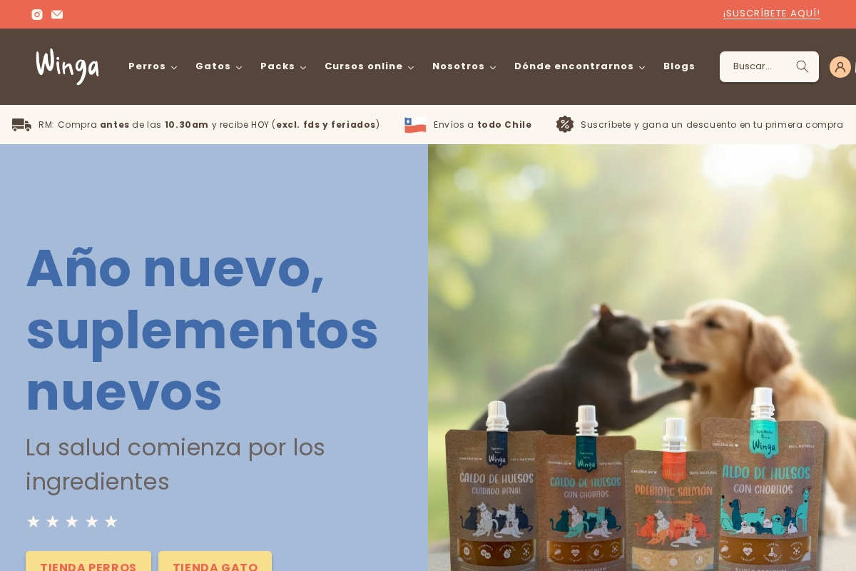 winga.cl homepage screenshot