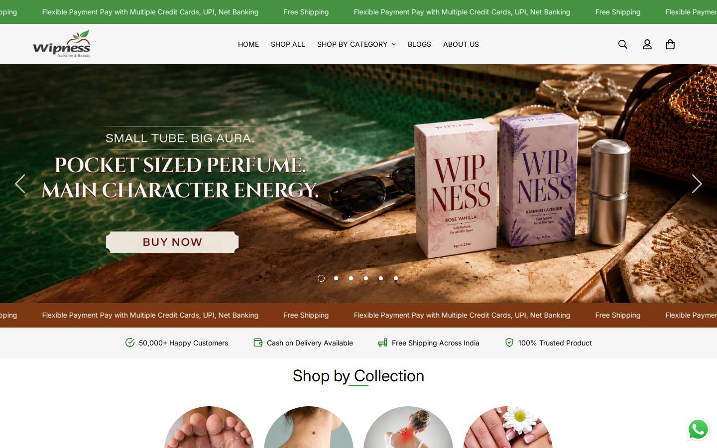wipness.in homepage screenshot