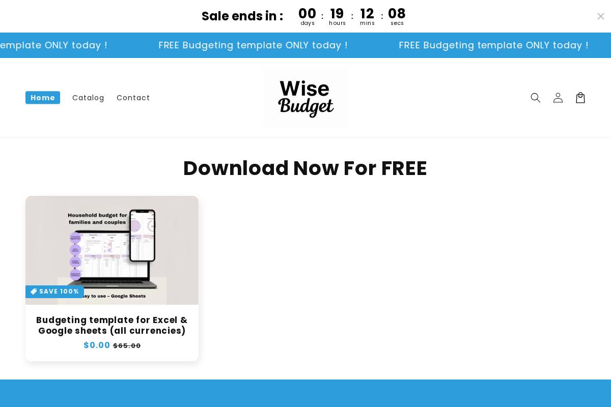wisebudget.co homepage screenshot